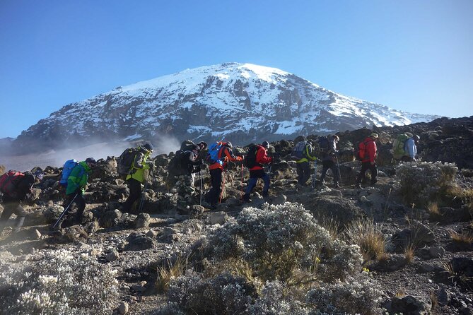 7-Day Mt. Kilimanjaro Hiking: Machame Route - Day 7: Mweka Gate and the mountain farewell