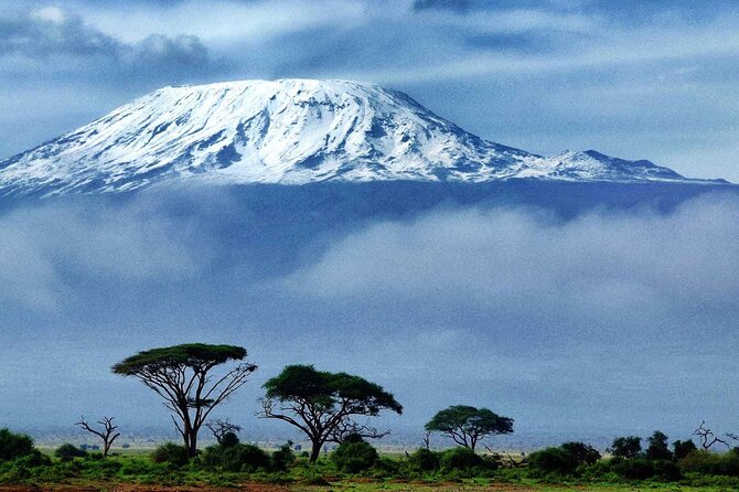 7-Day Mt. Kilimanjaro Hiking: Machame Route - Day 1: Arusha to Machame Gate and the rainforest