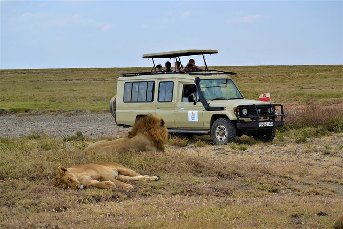 7-Day North Tanzania Classic Safari - Day 2: Tarangire’s Elephants and Larmaku Swamp