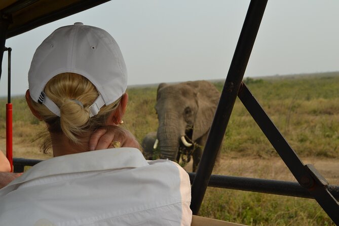 7-Day North Tanzania Classic Safari - Day 3: Lake Manyara and the Search for Tree-Climbing Lions