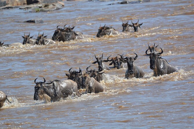 7-Day North Tanzania Classic Safari - Day 7: Returning to Arusha or the Airport