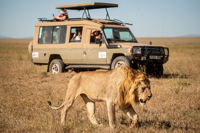 7-Day Premium Luxury Tanzania Safari All-Inclusive - Why This Seven-Day Route Works