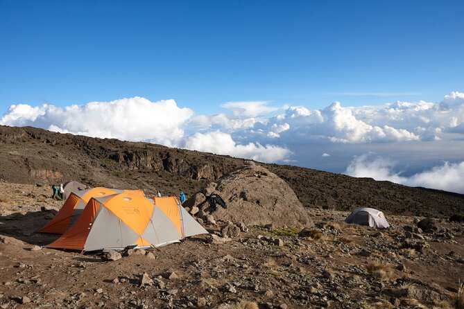7-Day Private Kilimanjaro Hiking Tour via Machame from Arusha - Day 7: A wet forest finish at Mweka Gate