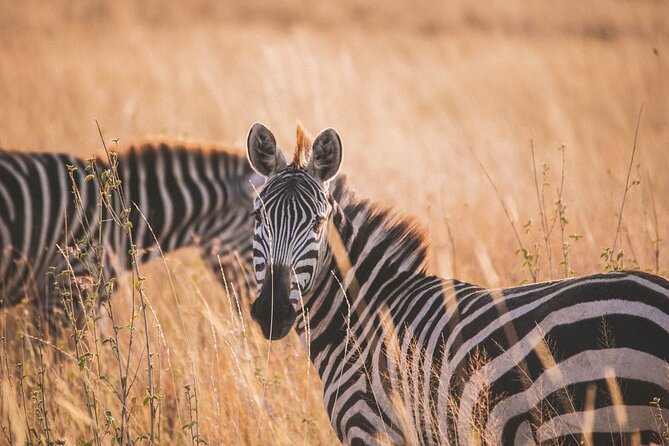 7-Day Private midrange Tour in Arusha with Airport Pickup - What the seven-day route gets right
