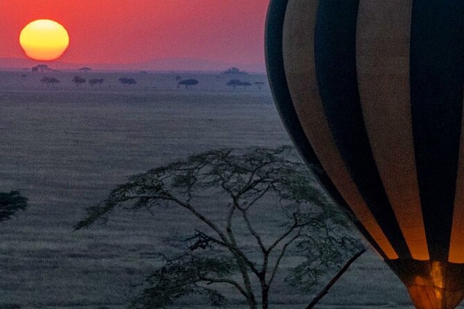 7-Day Private midrange Tour in Arusha with Airport Pickup - Day 2: Lake Manyara and the changing shoreline