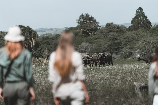 7 Day Safari in Tanzania National Parks - The Route at a Glance