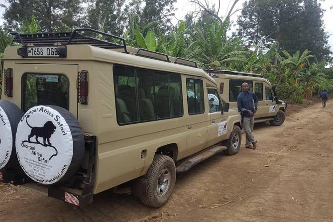 7-Day Safari (Including Serengeti) & Zanzibar Extension - Day 4: Ngorongoro Crater before the flight to Zanzibar