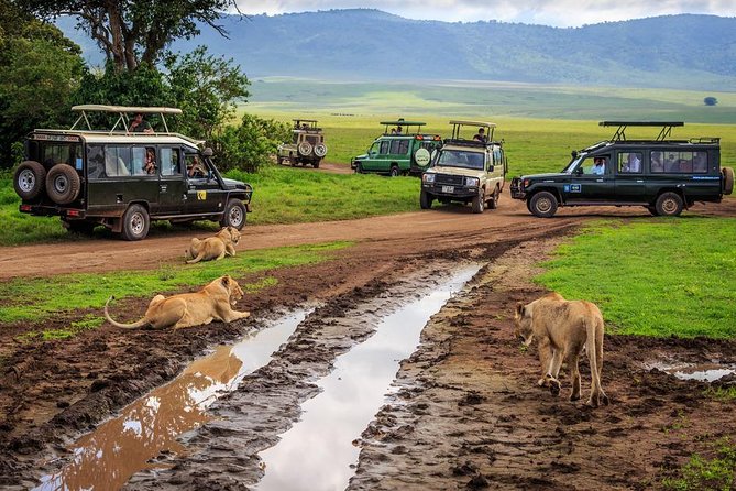 7-Day Safari (Including Serengeti) & Zanzibar Extension - The private format and guide support
