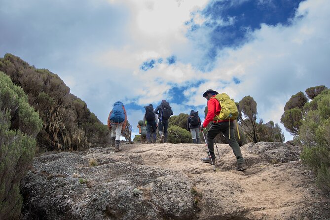 7 Day Trek To The Roof Of Africa Kilimanjaro via Machame Route - Day 5: crossing the Barranco Wall to Karanga