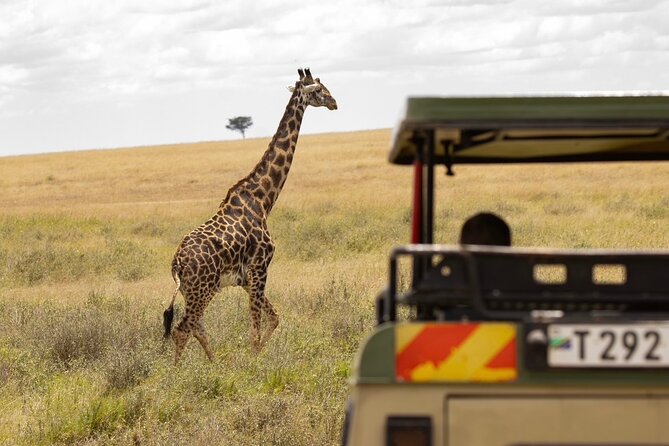 7 Days All inclusive Premium Safari Adventure in Tanzania - Ngorongoro Crater offers concentrated wildlife viewing