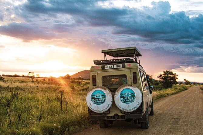 7 Days All inclusive Premium Safari Adventure in Tanzania - Airport transfer and the final morning