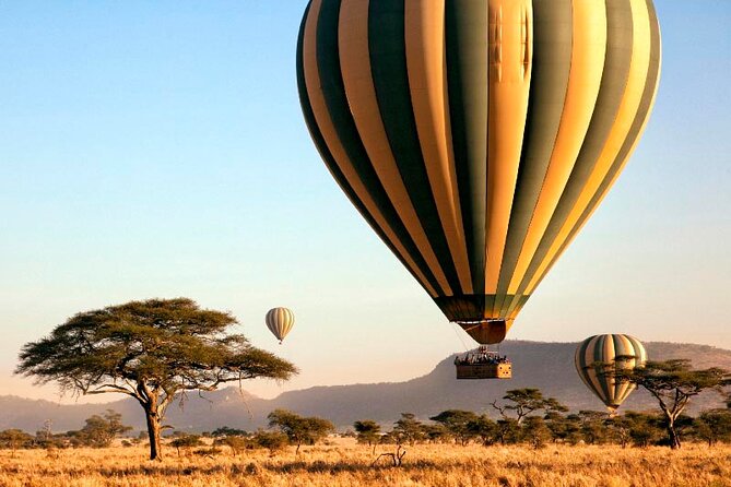 7 Days Best Luxury Safari To Tanzania - Day 2: Tarangire’s elephants and baobabs