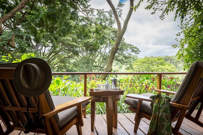 7 Days Best Luxury Safari To Tanzania - Day 7: From the Serengeti to Zanzibar