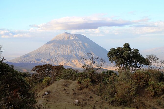 7 Days Cultural and Wildlife Safari - Day 2: Flamingos, early walking, and Lake Manyara