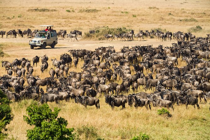 7 Days Cultural and Wildlife Safari - Day 3: A traditional hunt near Lake Eyasi