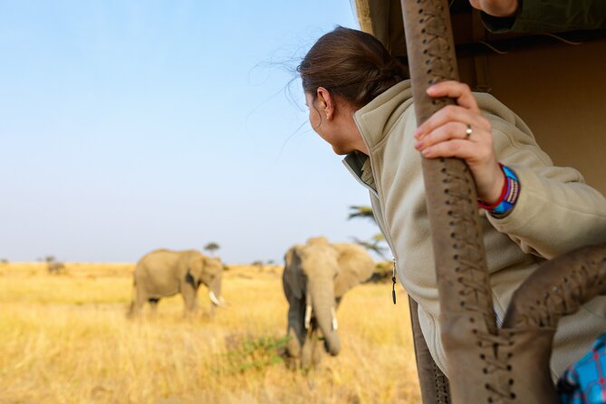 7 Days Cultural and Wildlife Safari - Day 7: Tarangire’s elephants and baobabs