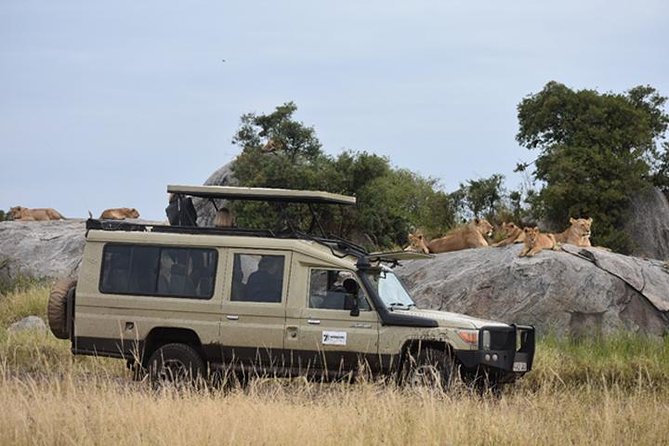 7 Days: Great Migration Mara River Crossing(manyara, Ngorongoro And Serengeti) - Days 5 and 6: Waiting for the Mara River crossing