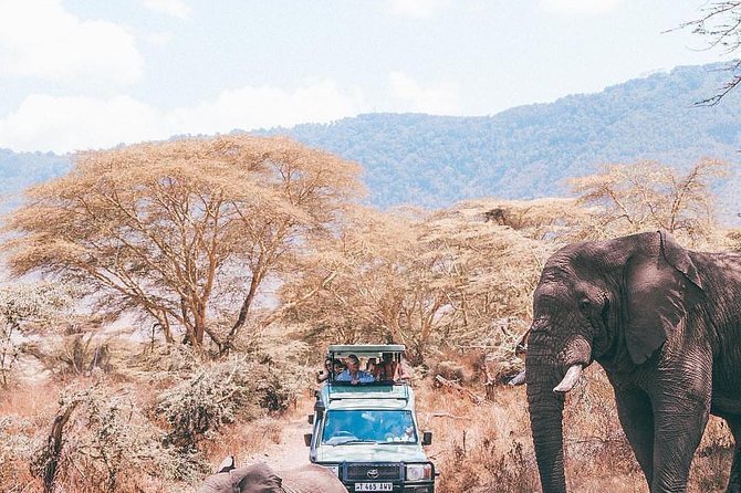 7 days great migration safari - Day 6: Descending into Ngorongoro Crater