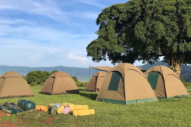 7 days great migration safari - Day 7: Lake Eyasi and the return to Arusha