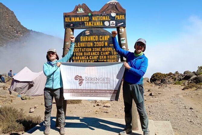 7 days Kilimanjaro climb via Machame route (Whiskey route) - Day 2: Moorland and the Shira Plateau at 3,840 meters