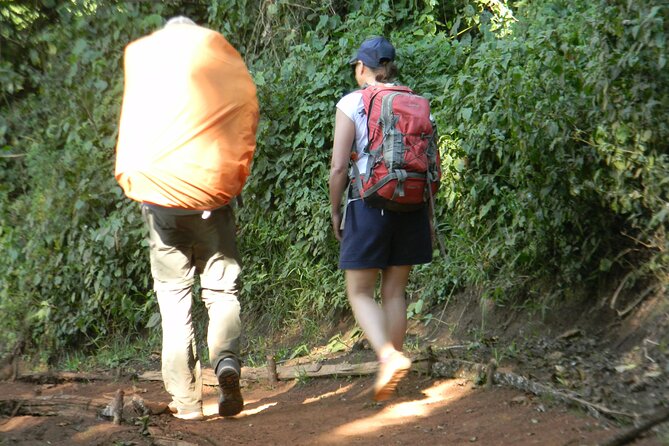 7 Days Kilimanjaro Climbing | Hiking Tour via the Lemosho Route - Day 1: Londorosi Gate to Big Tree Camp