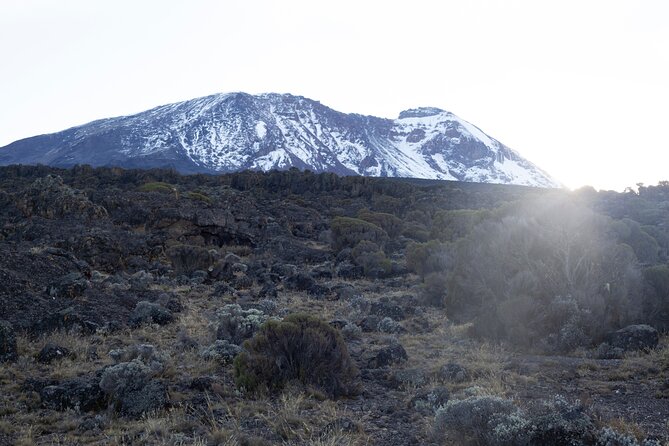 7 Days Kilimanjaro Climbing | Hiking Tour via the Lemosho Route - Day 5: The short, hard walk to Barafu Camp