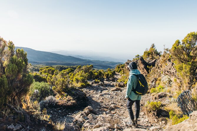 7 Days Kilimanjaro trek via Machame route - Day 3: High walking and the descent to Barranco
