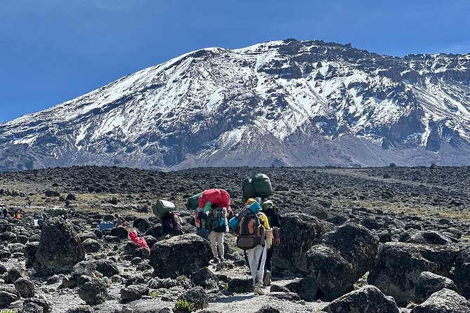 7 Days Kilimanjaro Trekking Machame Route - Key points before you book