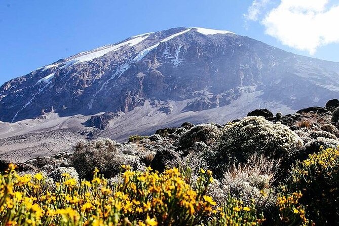 7 Days Kilimanjaro Trekking Machame Route - Day 4: The 257-meter Barranco Wall to Karanga Camp