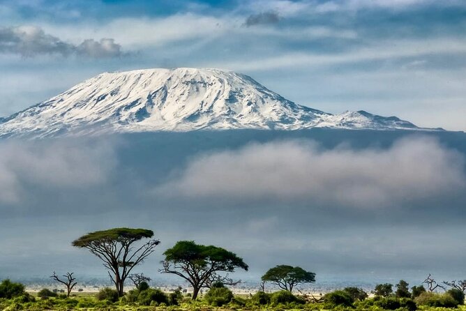 7 Days Kilimanjaro via Machame route affordable price - Why the Machame Route is worth your time