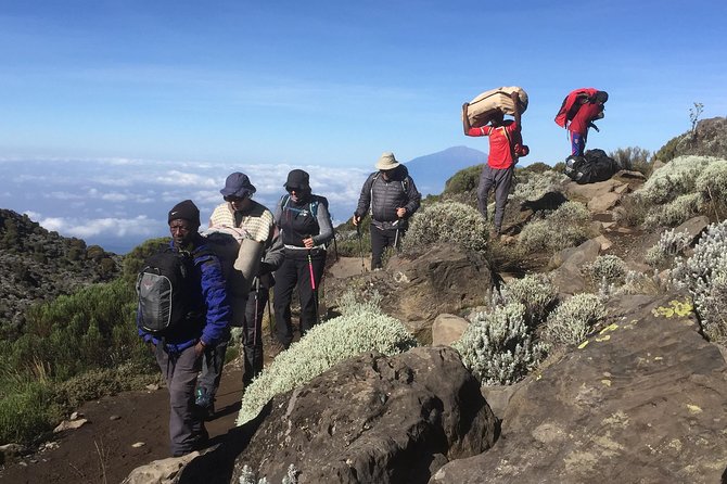 7 days Lemosho route - Day four: Lava Tower gives you altitude, then relief