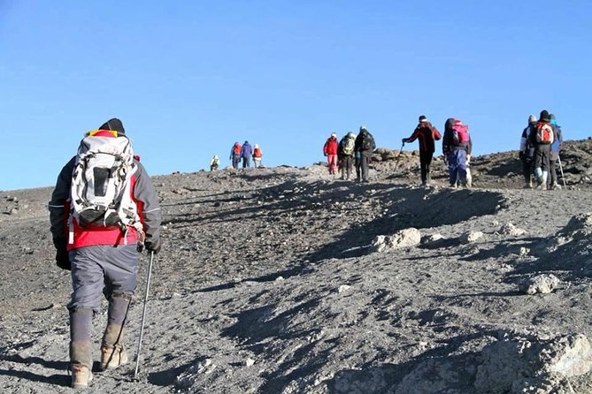 7 days Lemosho route - Day five: The Barranco Wall and a short acclimatization day