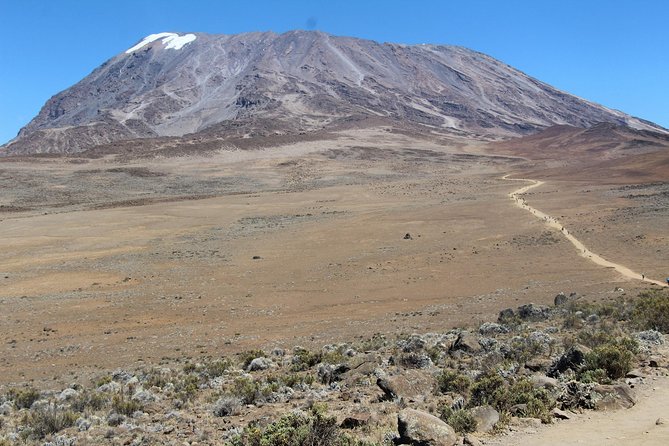 7 days Lemosho route - Day seven: Uhuru Peak and a punishing descent