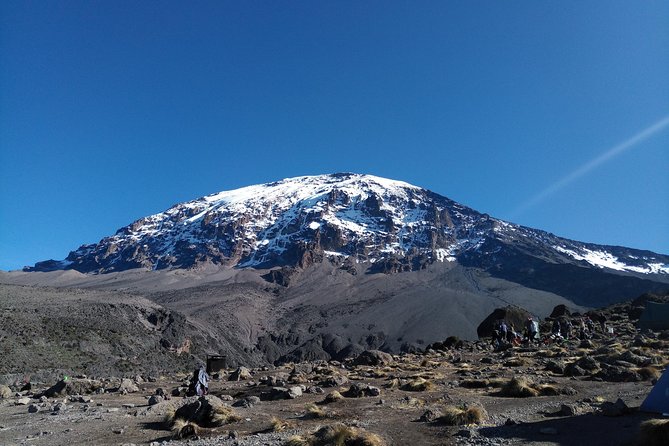 7 days Lemosho route Climbing Mt.Kilimanjaro - Day 1: Moshi to Londorossi Gate and the Rainforest
