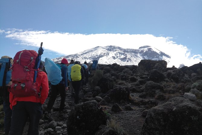 7 days Lemosho route Climbing Mt.Kilimanjaro - Day 6: Stella Point, Uhuru Peak, and Mweka