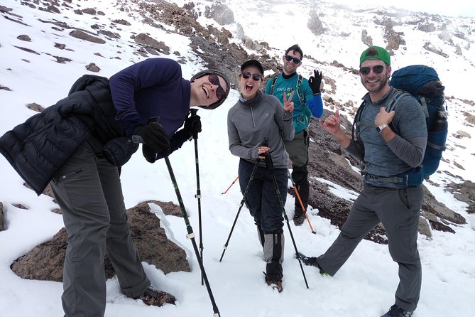 7 days Lemosho route Climbing Mt.Kilimanjaro - Day 2: From Forest to Shira Ridge
