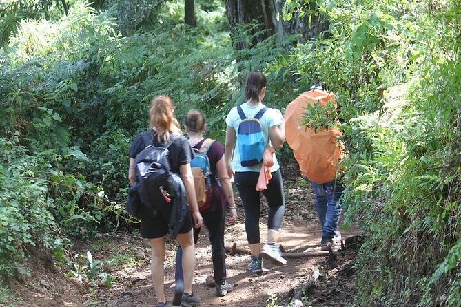 7 Days Lemosho Route Kilimanjaro Climbing | Solely Tours - Day 4: The Barranco Wall and Karanga Camp