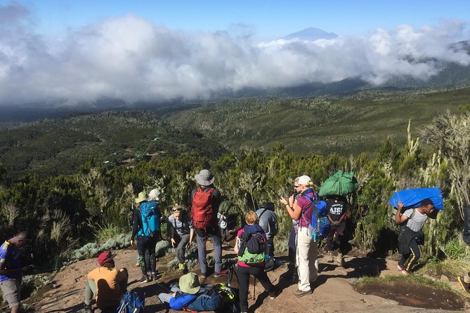 7 days Lemosho route - Your Arusha arrival includes a useful gear check