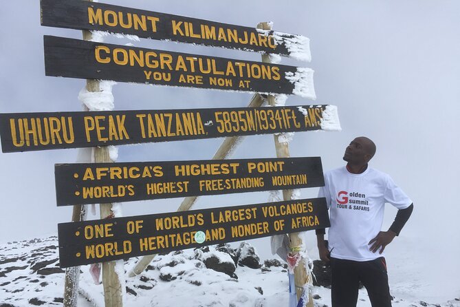 7 Days Machame Route - Day 1: From Kilimanjaro forest to open heather