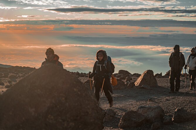 7 Days Machame route - Kilimanjaro - Day 2: Moorland and the Shira Plateau