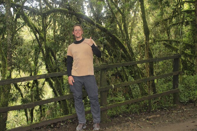 7 Days Machame Route Kilimanjaro Hiking | Climbing Tour - Day 7: Mweka Gate and the return to town