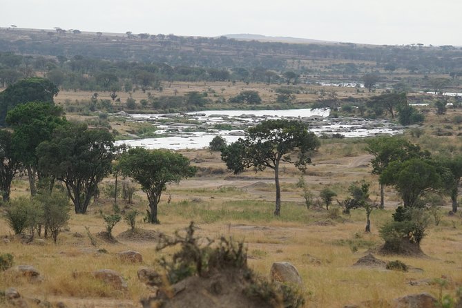 7 Days Migration Crossing in Mara River Northern Serengeti - Day 6: Ngorongoro Crater’s Compact Wildlife World