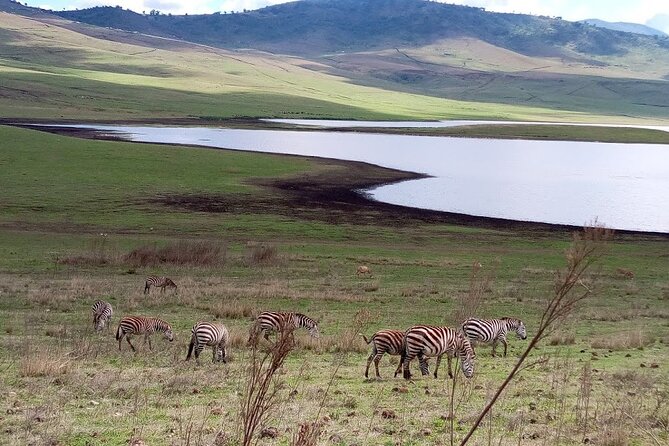 7 days Mt Kilimanjaro,Tarangire NP, Ngorongoro, Serengeti NP, Lake Manyara NP - A packed route with a clear purpose