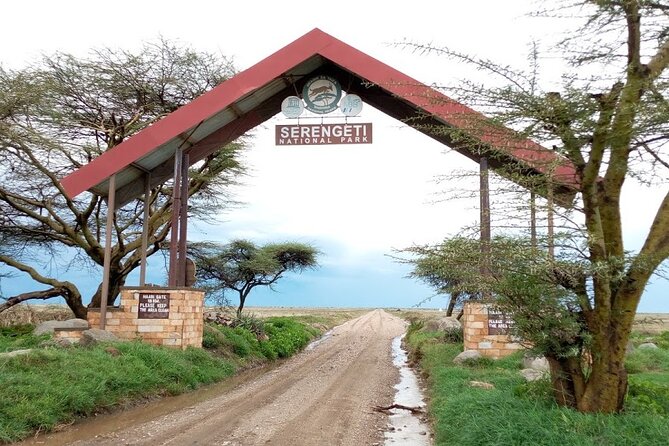 7 days Mt Kilimanjaro,Tarangire NP, Ngorongoro, Serengeti NP, Lake Manyara NP - Day 2: Tarangire’s elephants and baobab country
