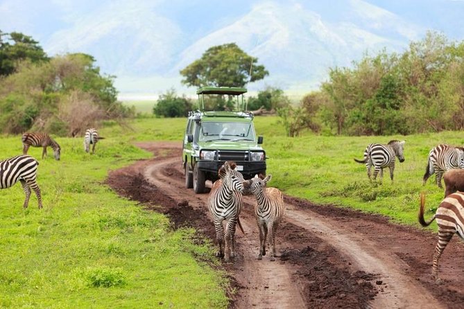 7-Days Private Midrange Safari; Serengeti & Ngorongoro Crater - Day One: Walking Near Mount Meru in Arusha National Park