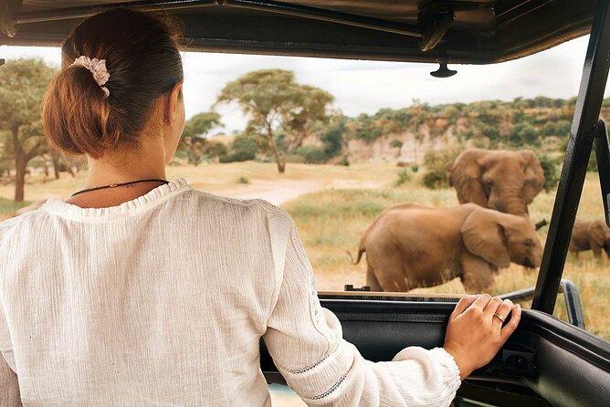 7-Days Private Midrange Safari; Serengeti & Ngorongoro Crater - Day Three: The Long Road to Serengeti