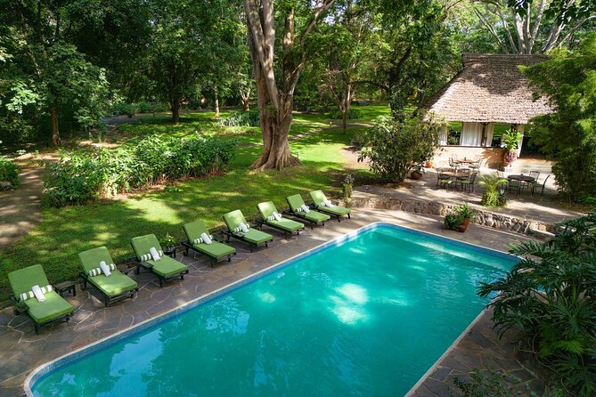 7-Days Private Midrange Safari; Serengeti & Ngorongoro Crater - Day Five: Leaving Serengeti for the Ngorongoro Area