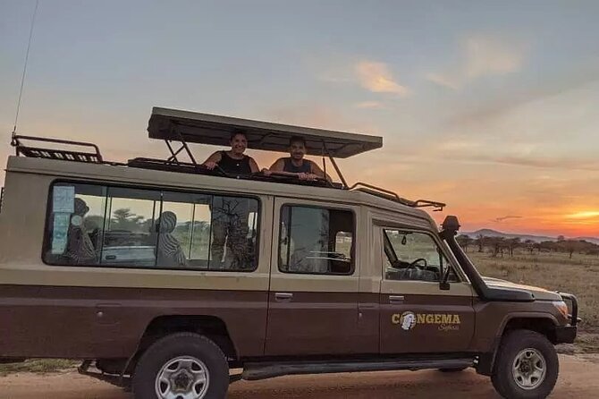 7 Days Private Safari in Tanzania - Day 4: A full day in Central Serengeti