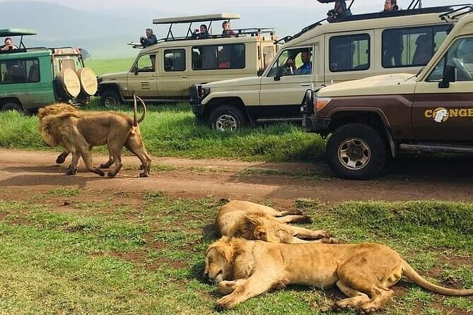 7 Days Private Safari in Tanzania - Day 7: Lake Manyara and an optional cultural stop