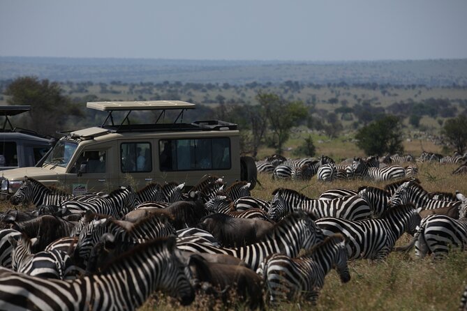 7 Days Private Serengeti Wildebeest Migration Tour - Day 6: Ngorongoro Crater before the drive to Arusha
